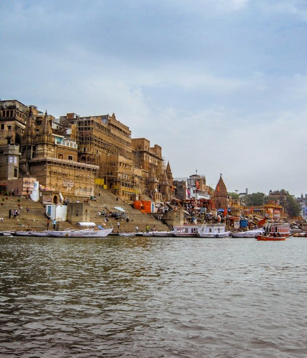 vanarasi3